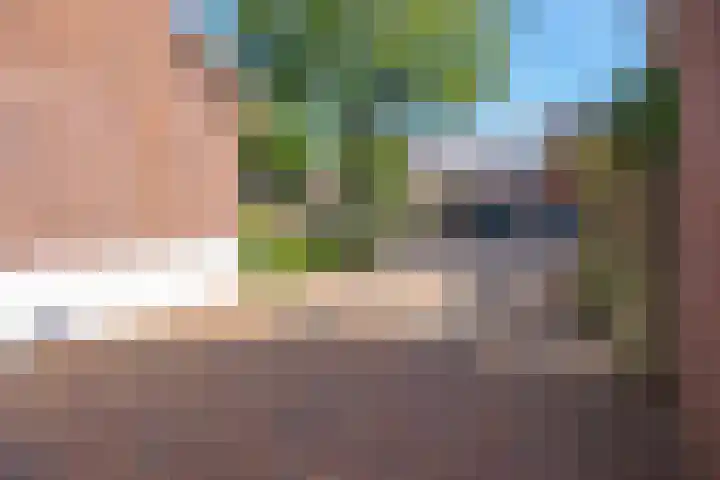 Schaapsweg 15 Ede thumbnail 5