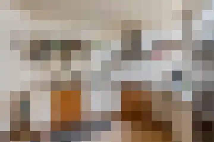 Schaapsweg 40 Ede thumbnail 11