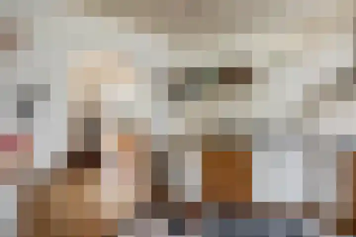 Schaapsweg 40 Ede thumbnail 13