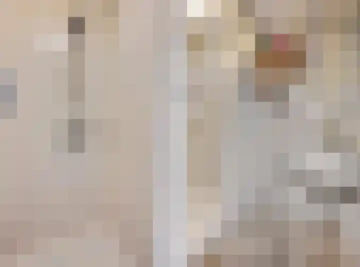 Schaapsweg 40 Ede thumbnail 16