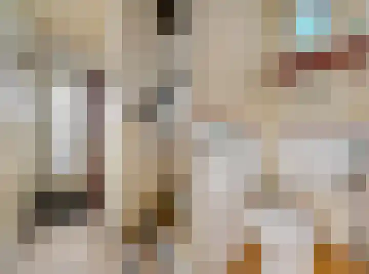 Schaapsweg 40 Ede foto 2