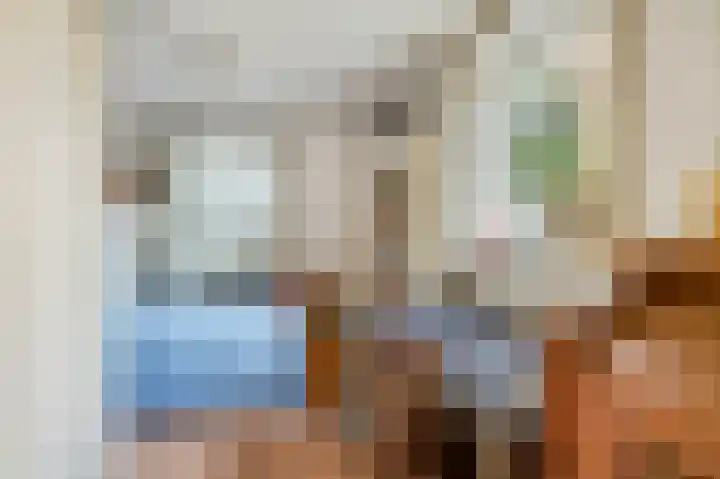 Schaapsweg 40 Ede thumbnail 20