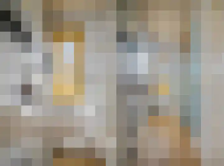 Schaapsweg 40 Ede thumbnail 21