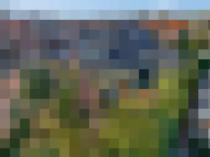 Schaapsweg 40 Ede thumbnail 25