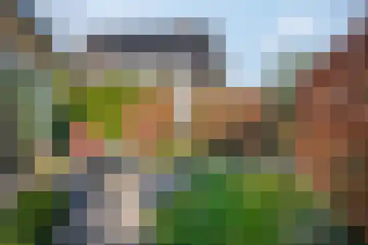 Schaapsweg 40 Ede thumbnail 26