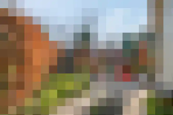 Schaapsweg 40 Ede thumbnail 27