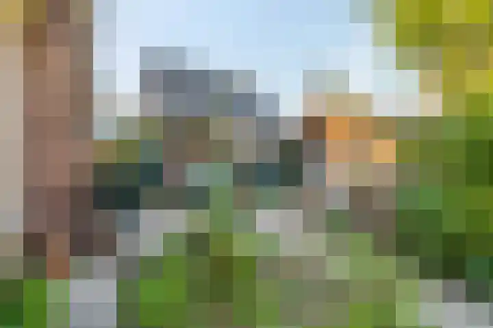 Schaapsweg 40 Ede thumbnail 28