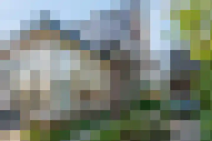 Schaapsweg 40 Ede thumbnail 30