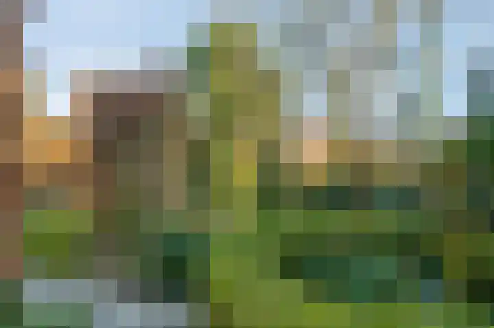 Schaapsweg 40 Ede thumbnail 32