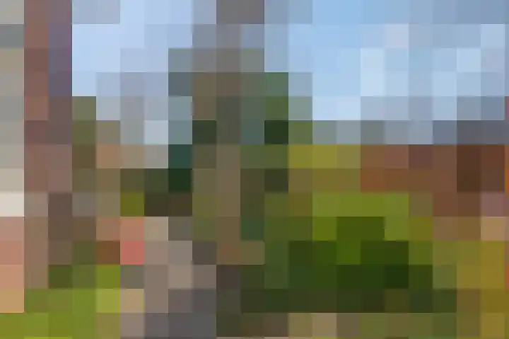 Schaapsweg 40 Ede thumbnail 33