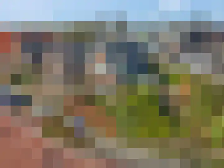 Schaapsweg 40 Ede thumbnail 36