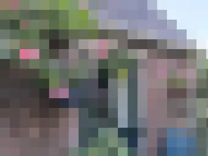 Schaapsweg 40 Ede thumbnail 40