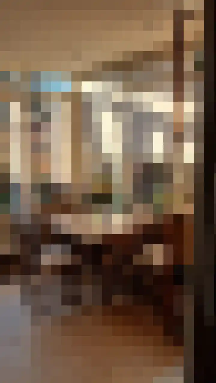 Schaapsweg 40 Ede thumbnail 41