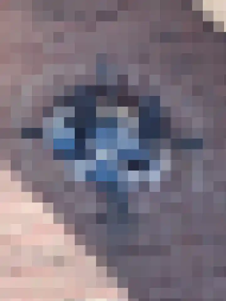 Schaapsweg 40 Ede thumbnail 44