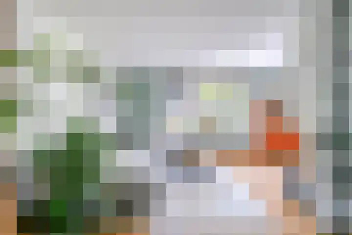 Schaarsbergendreef 1 Helmond thumbnail 11