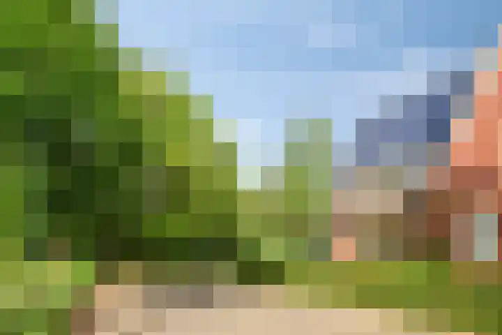 Schaarsbergendreef 1 Helmond thumbnail 45