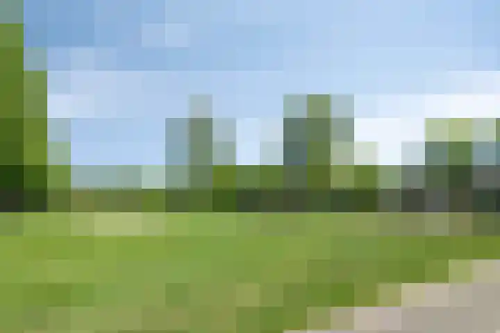 Schaarsbergendreef 1 Helmond thumbnail 47