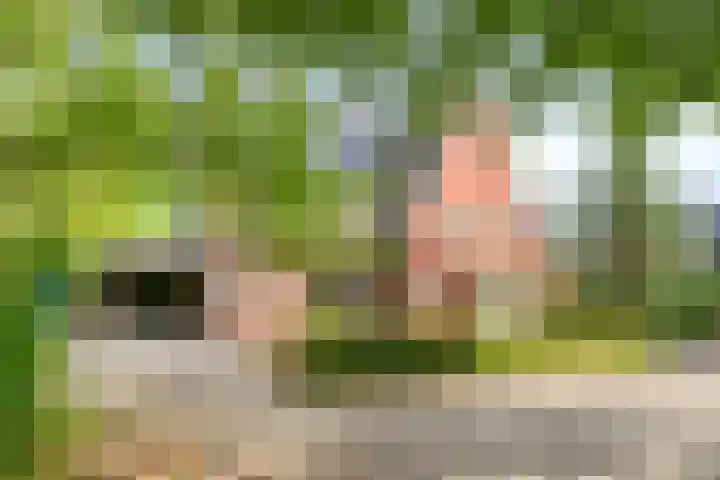 Schaarsbergendreef 1 Helmond thumbnail 7