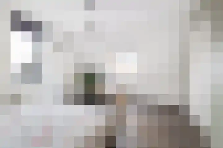 Schaarwei 21 Barendrecht thumbnail 17