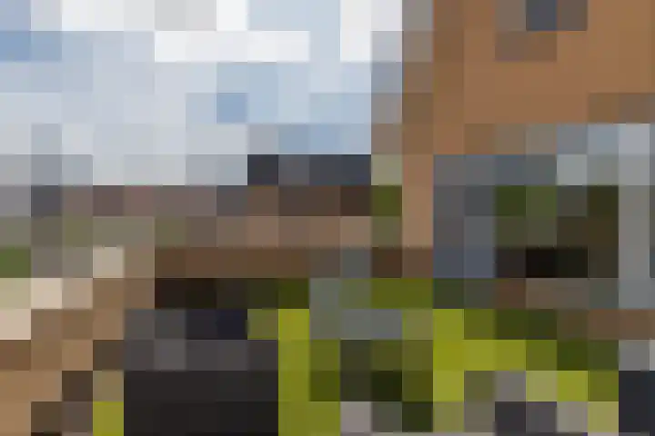 Schaarwei 21 Barendrecht thumbnail 23