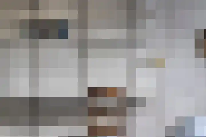 Schabbinklanden 65 Enschede thumbnail 26