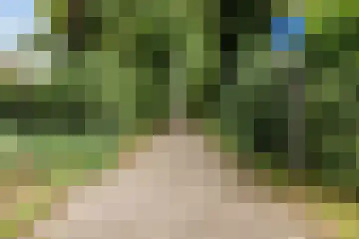Schabbinklanden 65 Enschede thumbnail 34