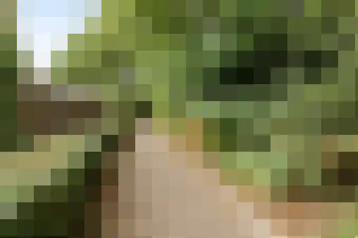 Schabbinklanden 65 Enschede thumbnail 35