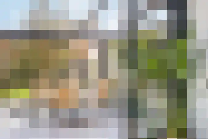 Schacht 41 Beuningen Gld thumbnail 17