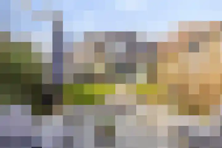 Schacht 41 Beuningen Gld thumbnail 41