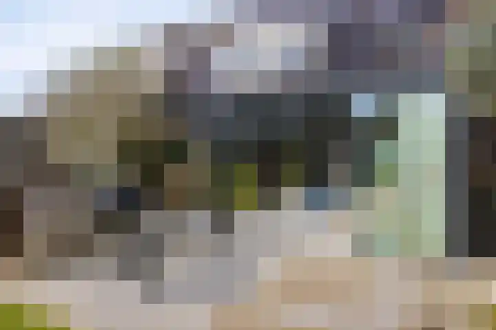 Schacht 41 Beuningen Gld thumbnail 42