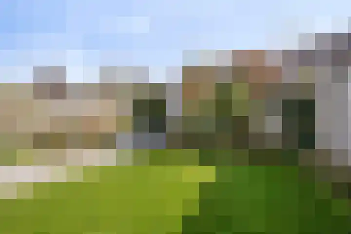 Schacht 41 Beuningen Gld thumbnail 44