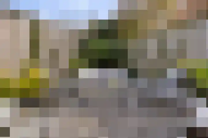 Schacht 41 Beuningen Gld thumbnail 45