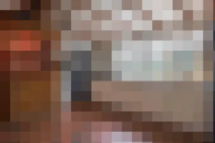 Schadewijk 3 Eersel thumbnail 14