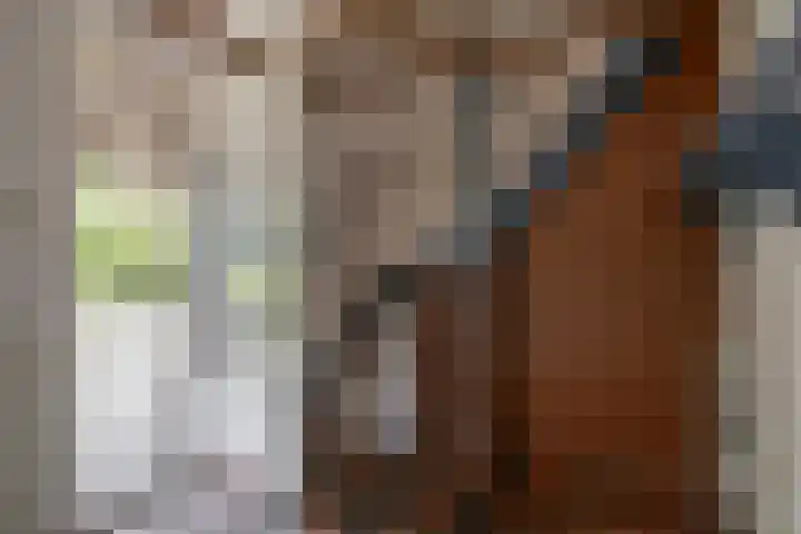 Schadewijk 3 Eersel thumbnail 15