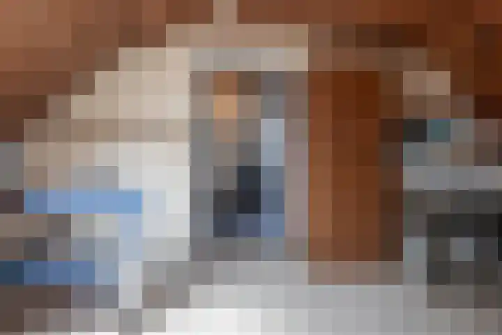 Schadewijk 3 Eersel thumbnail 18