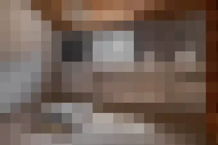 Schadewijk 3 Eersel thumbnail 22