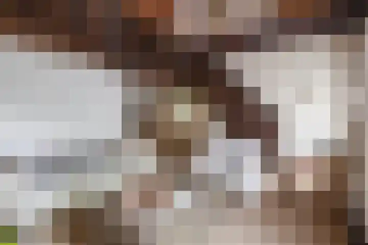 Schadewijk 3 Eersel thumbnail 27