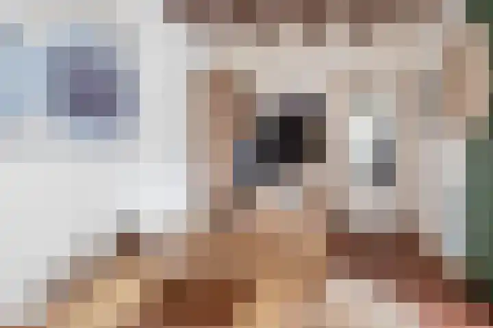 Schadewijk 3 Eersel thumbnail 32