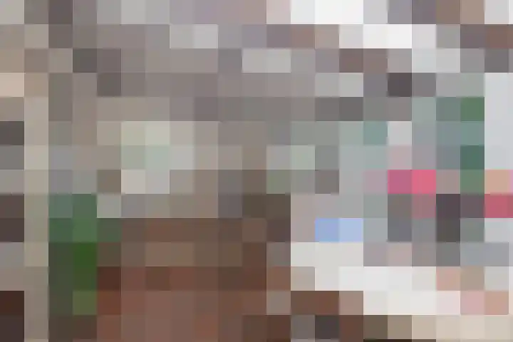 Schadewijk 3 Eersel thumbnail 33