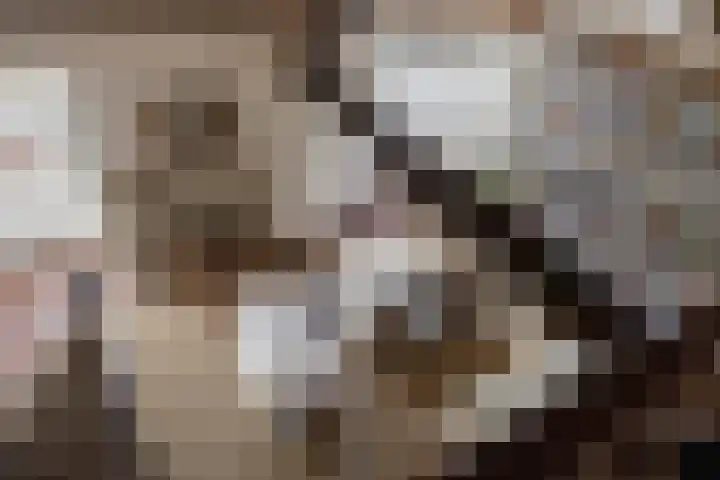 Schadewijk 3 Eersel thumbnail 34