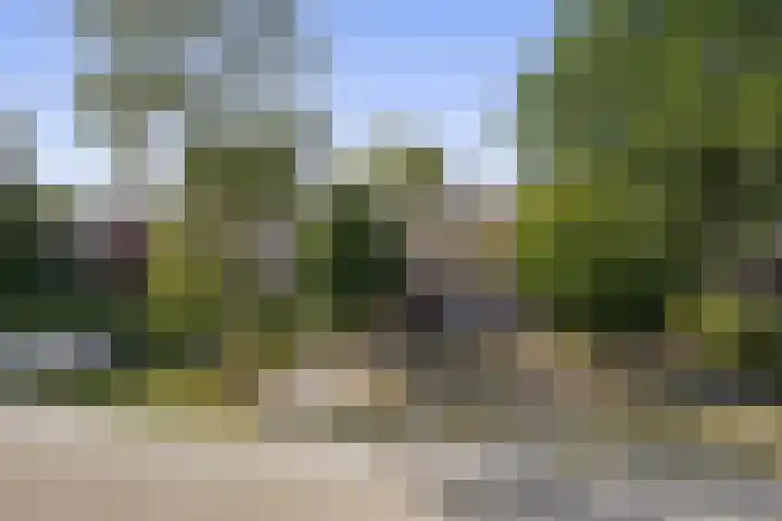 Schadewijk 3 Eersel thumbnail 37