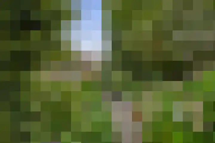 Schadewijk 3 Eersel thumbnail 40