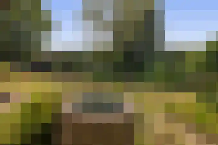 Schadewijk 3 Eersel thumbnail 41
