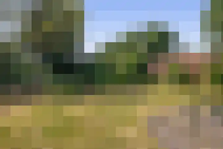 Schadewijk 3 Eersel thumbnail 42