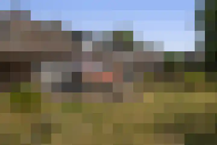 Schadewijk 3 Eersel thumbnail 44