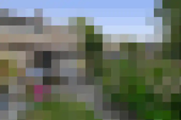 Schadewijk 3 Eersel thumbnail 45