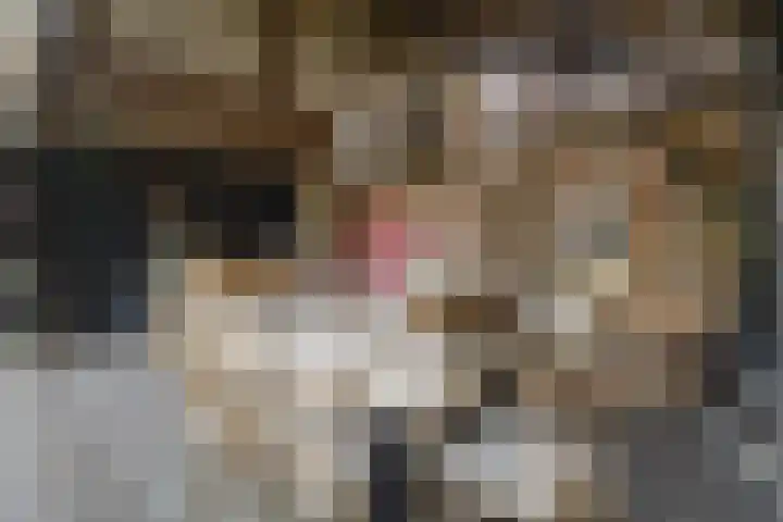 Schadewijk 3 Eersel thumbnail 51