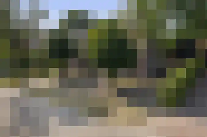 Schadewijk 3 Eersel thumbnail 54