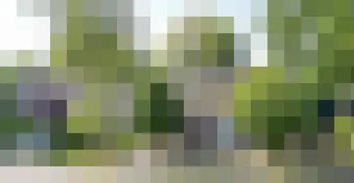 Schadewijk 3 Eersel thumbnail 55