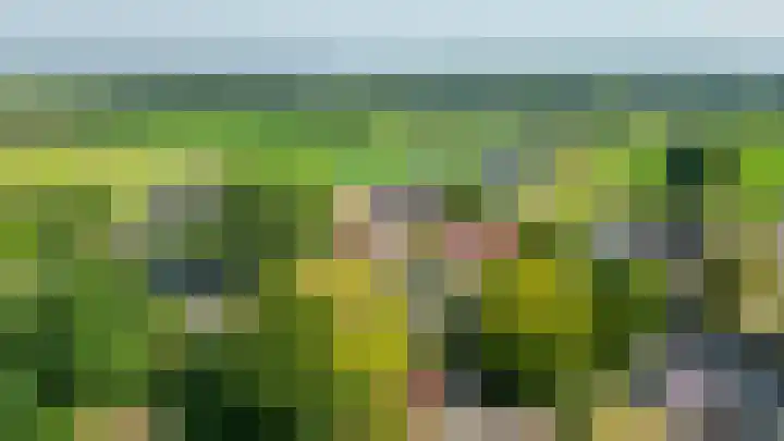 Schadewijk 3 Eersel thumbnail 56